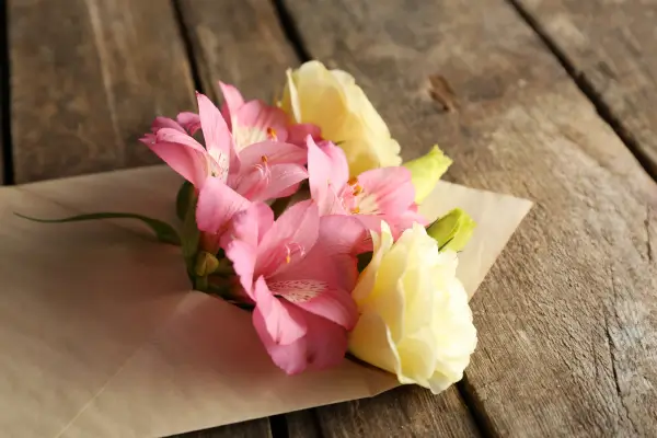 Armazenamento Correto de Flores Secas para Evitar Mofo e Desgaste