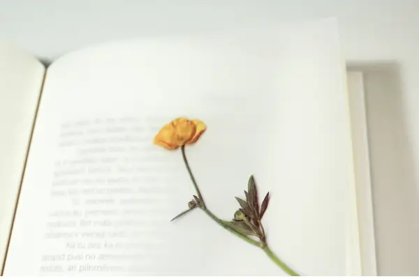 Lembrancinhas Artesanais: Como Criar Marcadores de Livro com Flores Secas